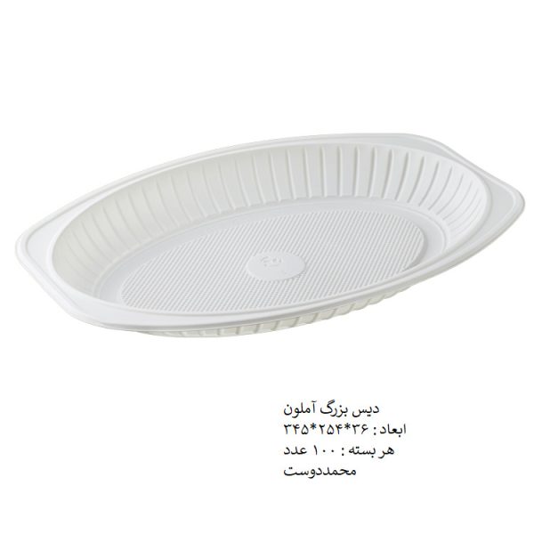 دیس بزرگ